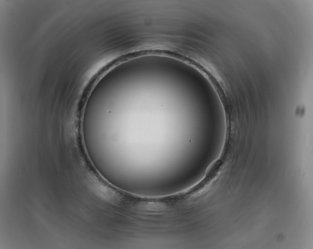 X0000094431119200711081219