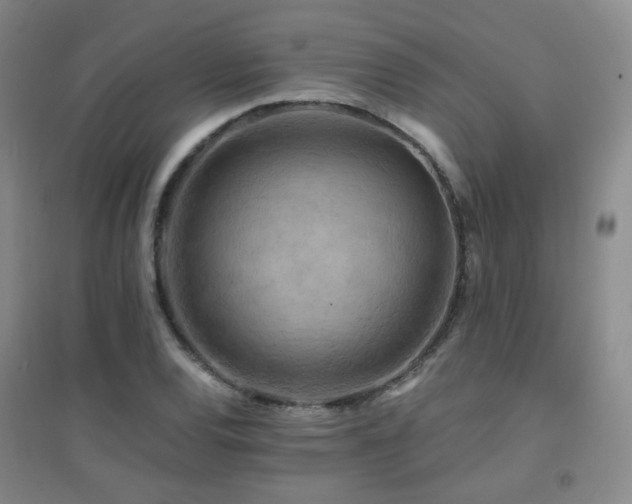X0000094431120200711081219