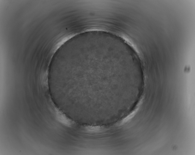 X0000094431121200711081219