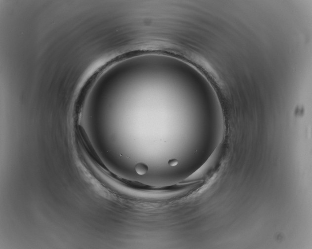 X0000094431122200711081219