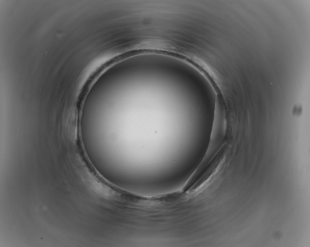 X0000094431123200711081219