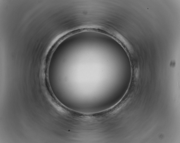 X0000094431124200711081220