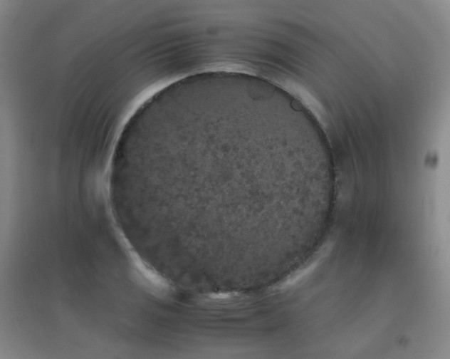 X0000094431125200711081220