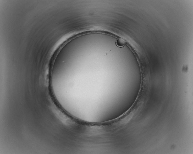 X0000094431126200711081220