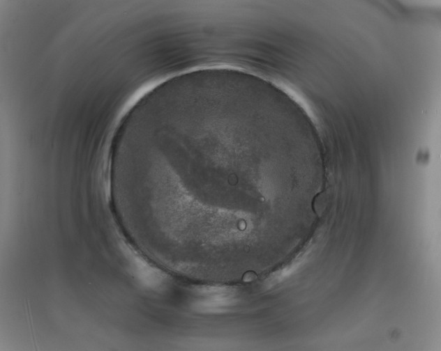 X0000094431127200711081220