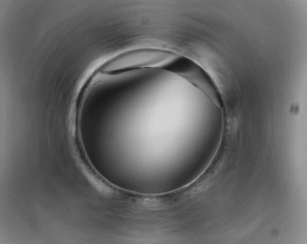 X0000094431128200711081220
