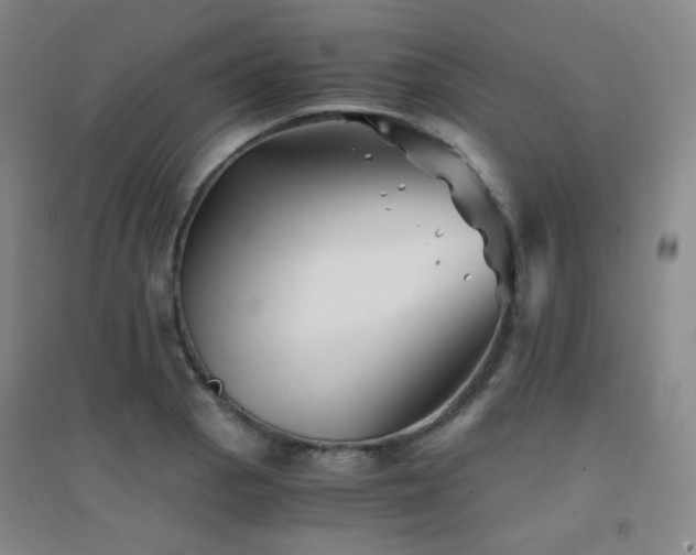 X0000094431129200711081220