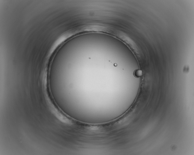 X0000094431130200711081220