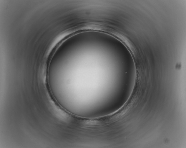 X0000094431131200711081220