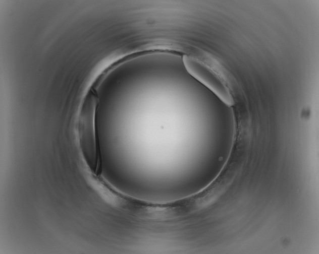 X0000094431132200711081220