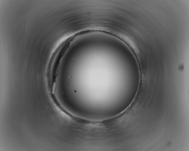 X0000094431133200711081220
