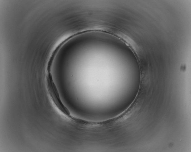 X0000094431135200711081220
