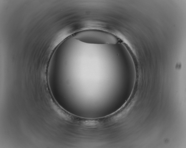 X0000094431137200711081220