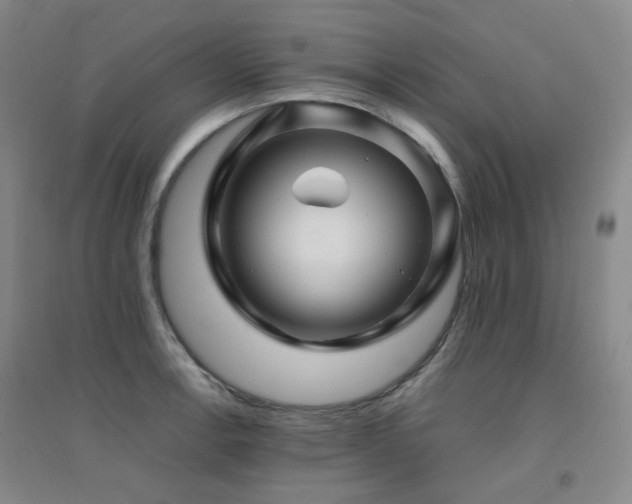 X0000094431138200711081220