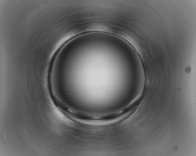 X0000094431139200711081220