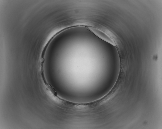 X0000094431140200711081220
