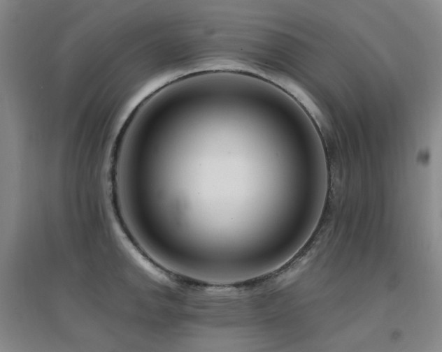 X0000094431142200711081220