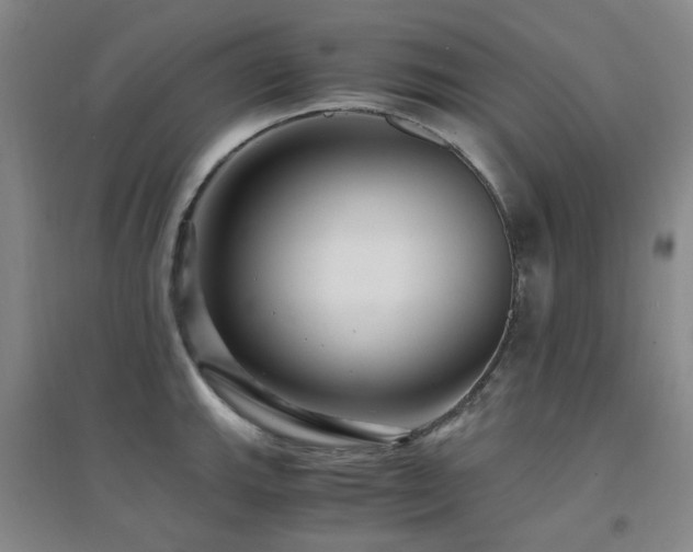 X0000094431143200711081220