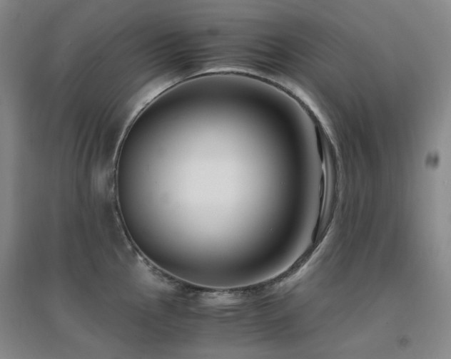 X0000094431145200711081220