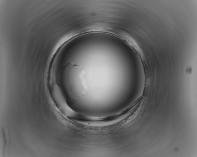 X0000094431146200711081220