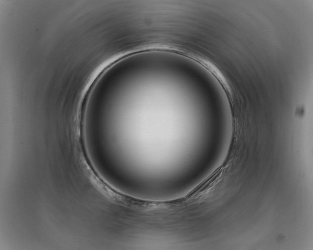 X0000094431148200711081220