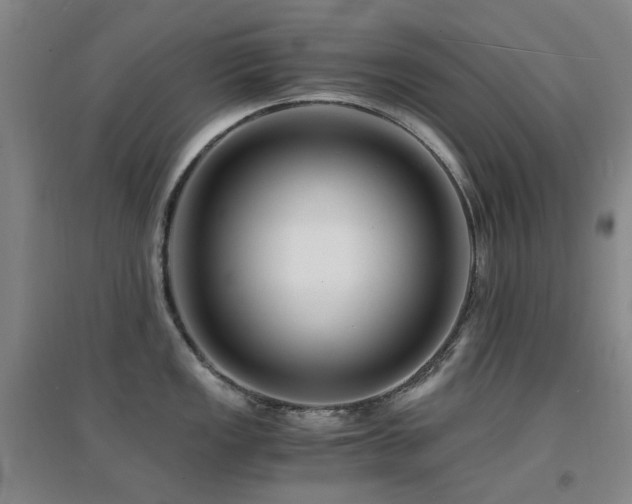 X0000094431149200711081220