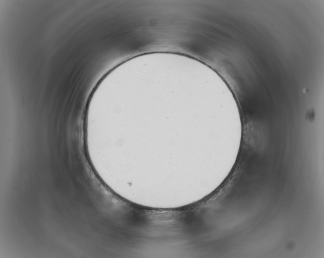 X0000094431150200711081220