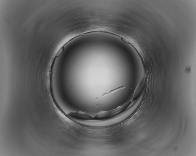 X0000094431151200711081220