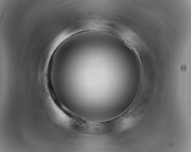 X0000094431152200711081220