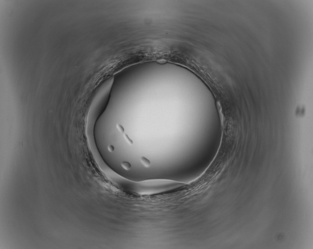X0000094431153200711081219