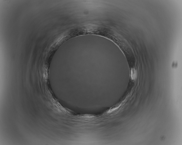 X0000094431155200711081219