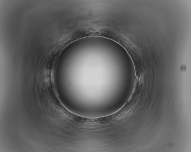 X0000094431156200711081219