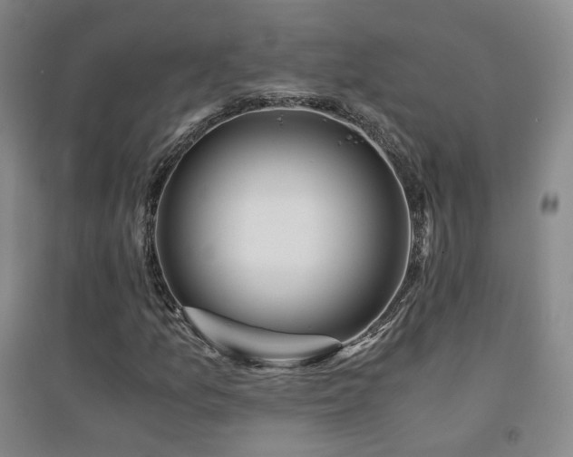 X0000094431157200711081219