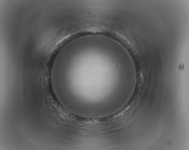 X0000094431158200711081219