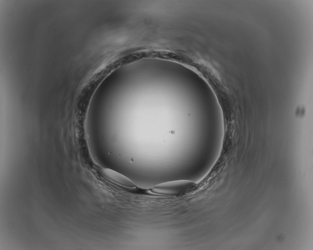 X0000094431159200711081219