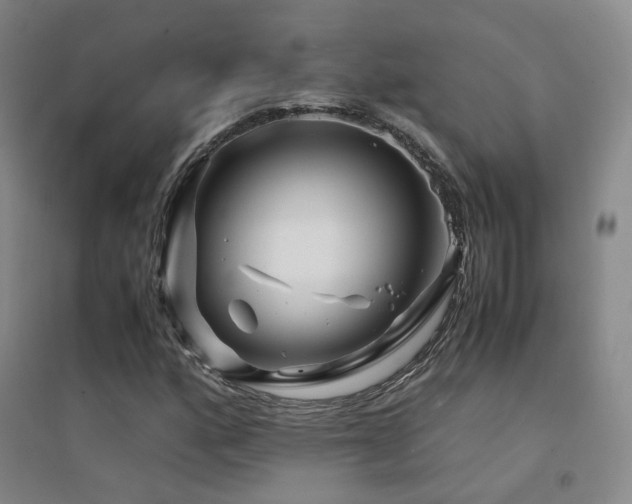 X0000094431160200711081219