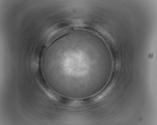 X0000094431161200711081219