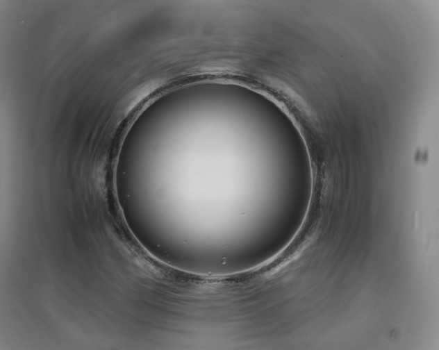 X0000094431162200711081219