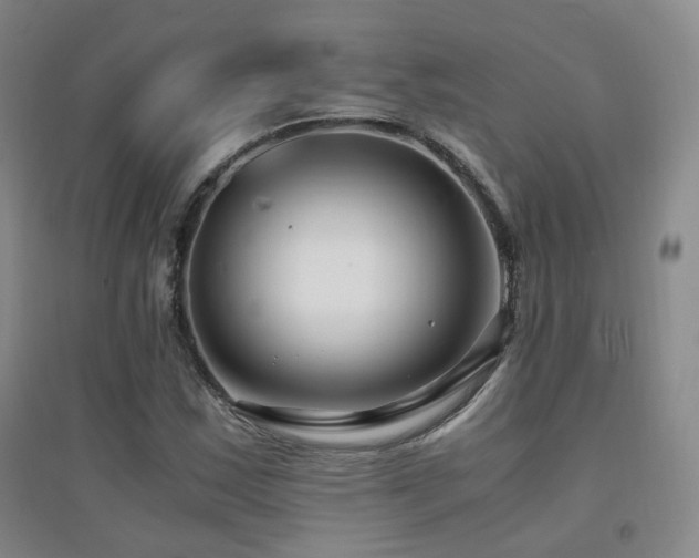 X0000094431163200711081219