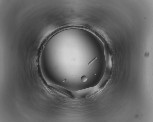 X0000094431164200711081219