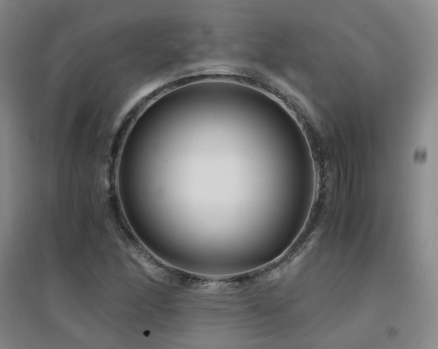 X0000094431166200711081219
