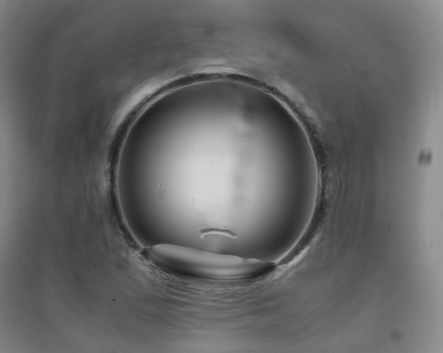 X0000094431167200711081219