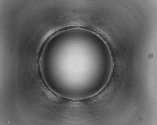 X0000094431168200711081219