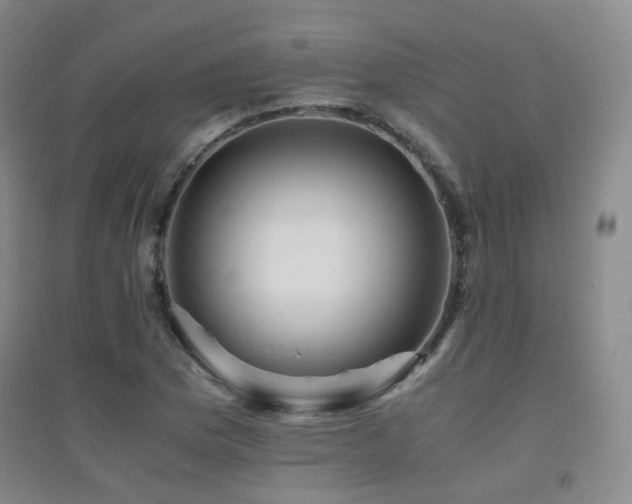 X0000094431169200711081219