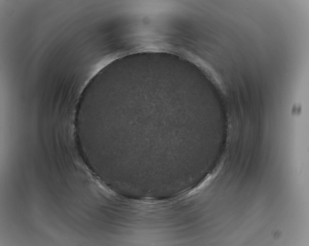 X0000094431170200711081219