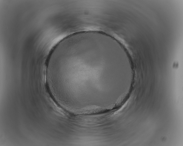 X0000094431171200711081219