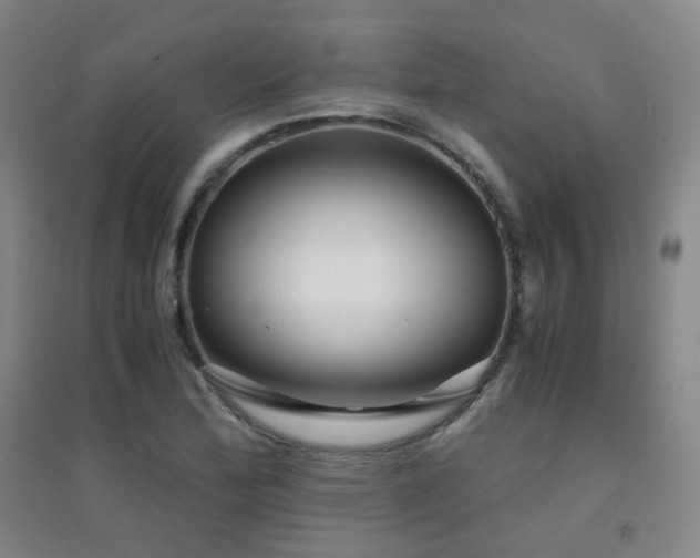 X0000094431172200711081219