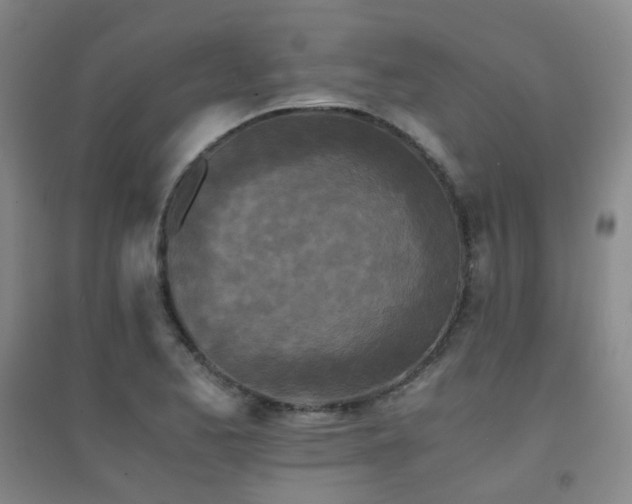 X0000094431173200711081219
