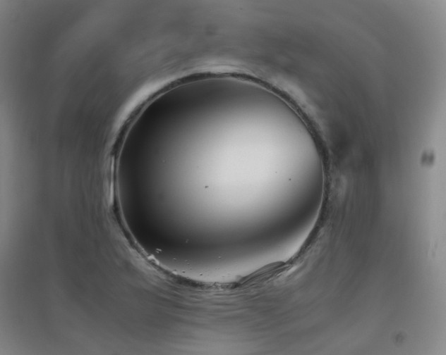 X0000094431175200711081219