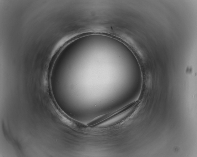 X0000094431176200711081219